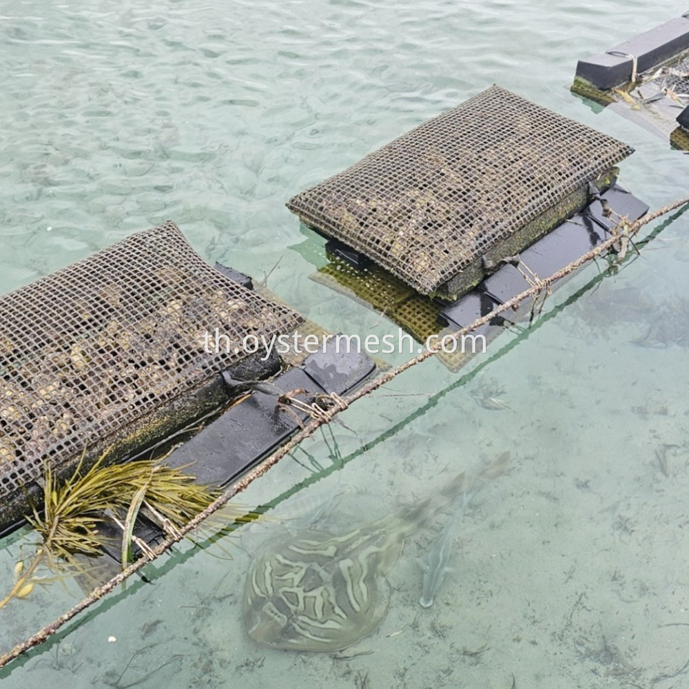 Floating Oyster Cage